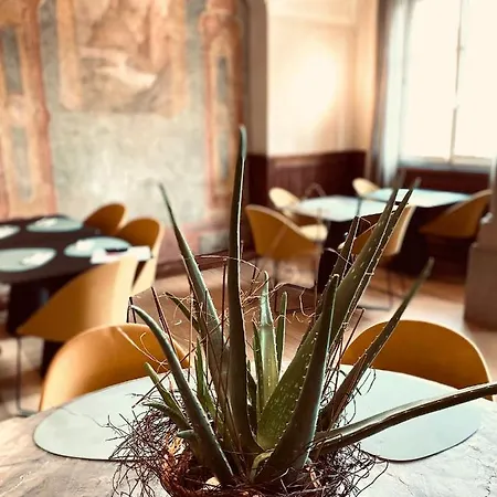 Stadthotel Styria 4* Steyr