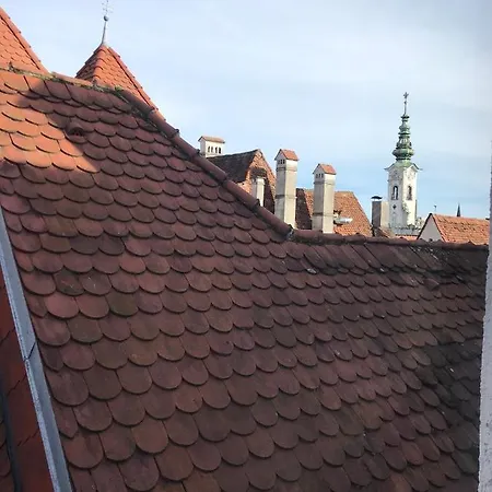 Stadthotel Styria 호텔 슈타이어