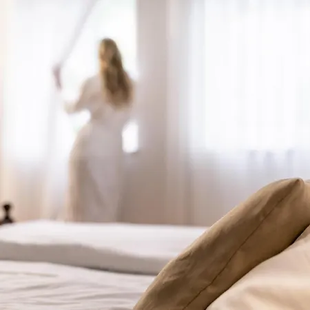 Stadthotel Styria 호텔 슈타이어