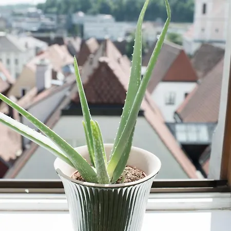 فندق Stadthotel Styria