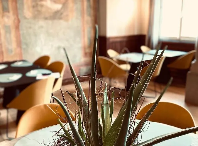 Stadthotel Styria 4* Steyr