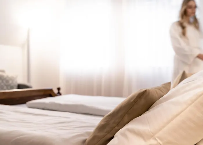 Otel Stadthotel Styria Steyr