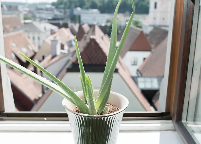 Otel Stadthotel Styria