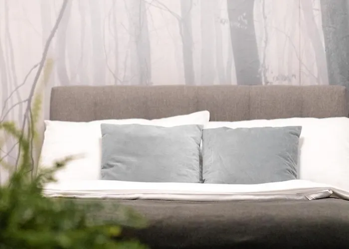 Stadthotel Styria Otel Steyr