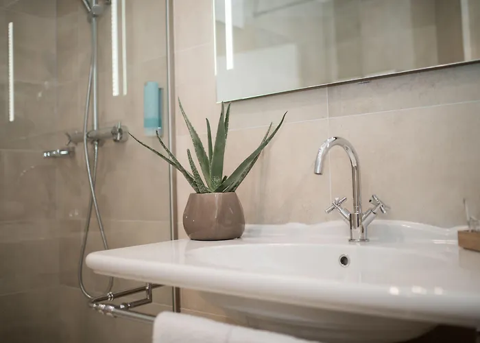 Stadthotel Styria 4* Steyr