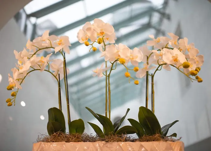 Stadthotel Styria Otel 4*