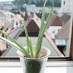 Ξενοδοχείο Stadthotel Styria