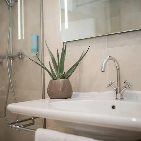 Stadthotel Styria 4* Steyr