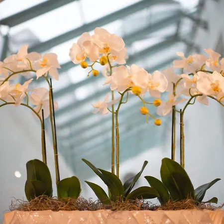 Stadthotel Styria Hotel 4*